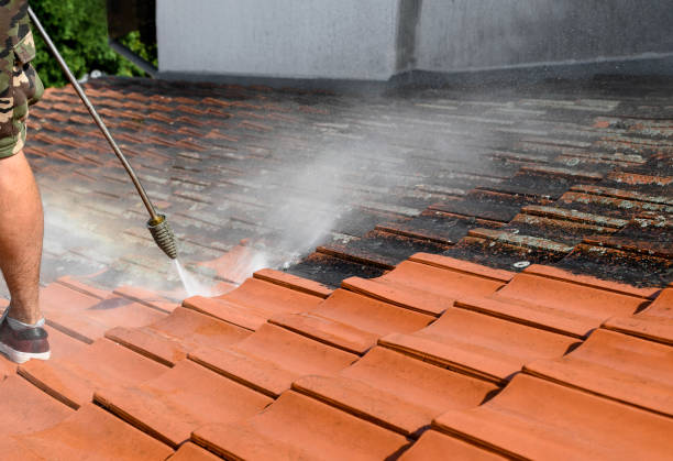Why Choose Our Certified Pressure Washing Experts for Your Project Needs in San Juan, TX?