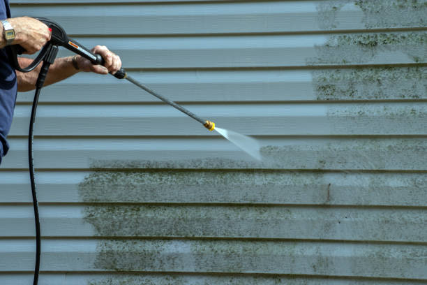 Best Deck Pressure Washing  in San Juan, TX
