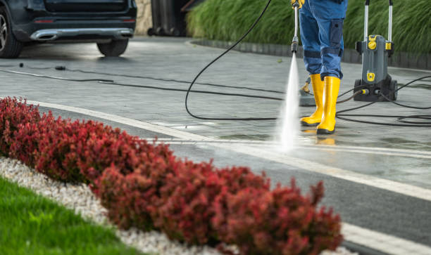 Best Pressure Washing Siding  in San Juan, TX