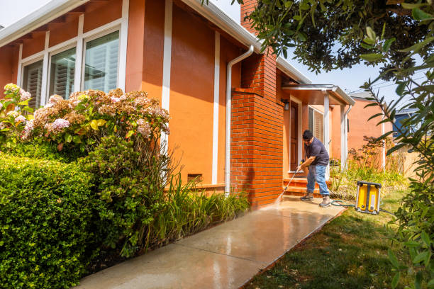 Best House Pressure Washing  in San Juan, TX
